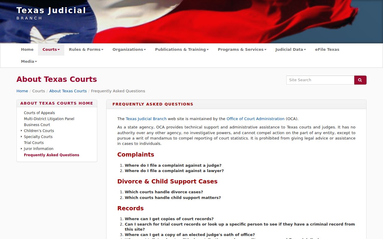 Texas court records access rules for Atascosa County criminal cases